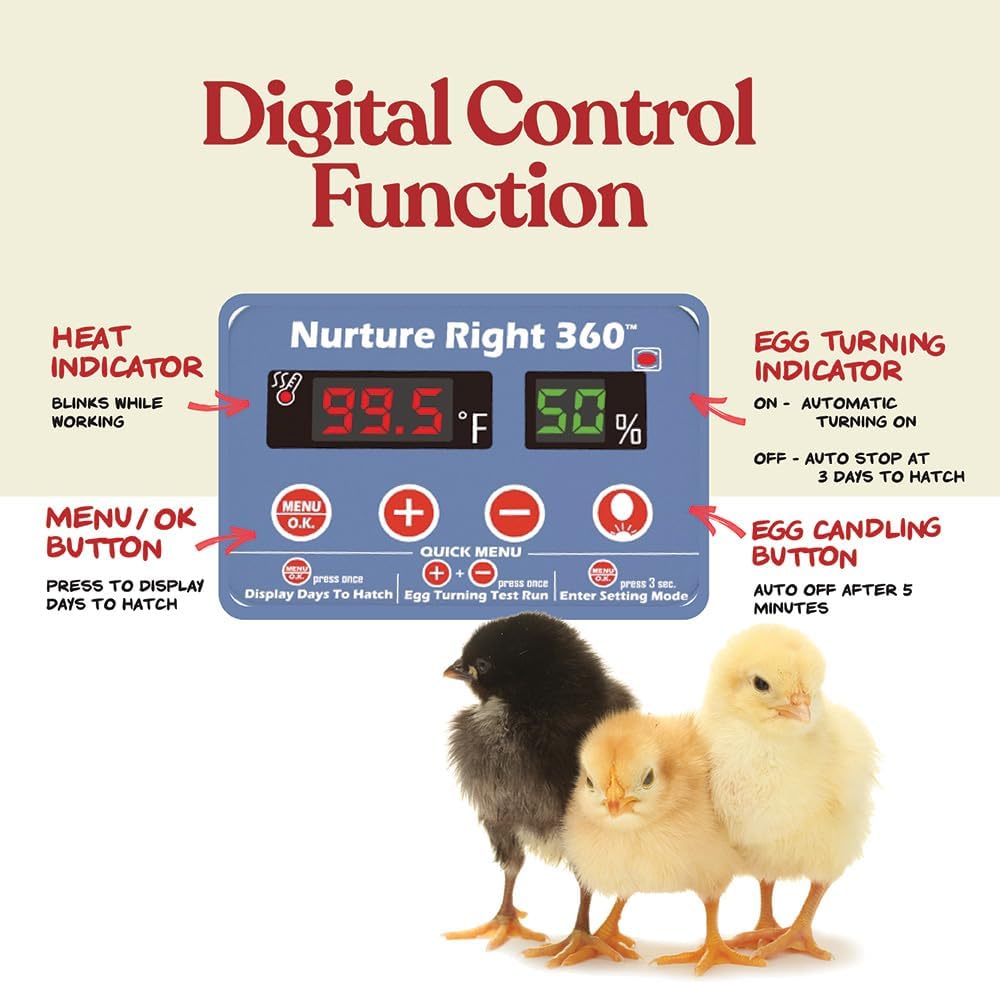 Egg Incubator for Hatching Chicks, Holds 12-22 Eggs, Automatic Turner with Temperature and Humidity Control, 360 Degree View with Clear Window, Incubator for Chickens