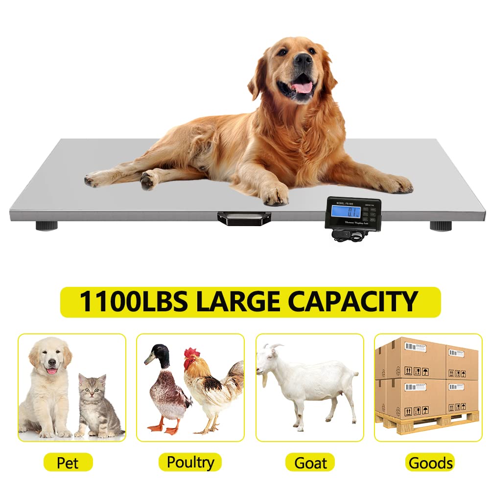 Digital livestock scale, electronic digital pet veterinary scale 1100 pounds x 0.2 pounds, large platform stainless steel postal transportation scale, suitable for large livestock (dogs, pigs, sheep)