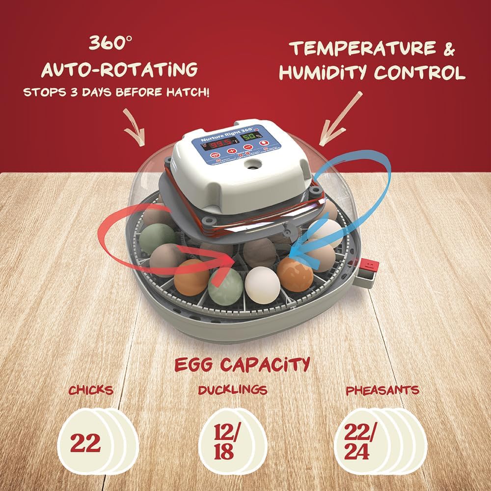 Egg Incubator for Hatching Chicks, Holds 12-22 Eggs, Automatic Turner with Temperature and Humidity Control, 360 Degree View with Clear Window, Incubator for Chickens